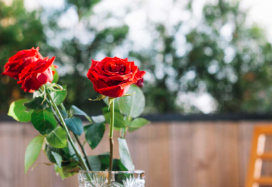 Lijepa i nesvakidašnja scena: Policajci u Čapljini zaustavljali samo žene, a onda im ovako čestitali Dan žena