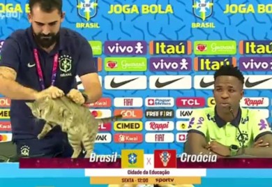 Mačka prekinula pres brazilske reprezentacije, portparol je bacio sa stola