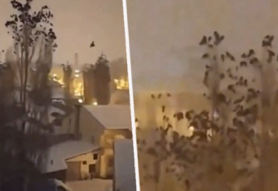 Čudno ponašanje ptica prije potresa u Turskoj zapalio društvene mreže: Mogu li životinje predvidjeti zemljotres? (VIDEO)