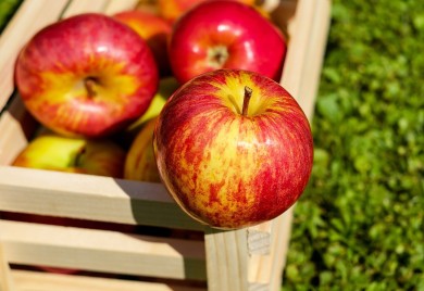 Zbog čega ne treba bacati koru od jabuke