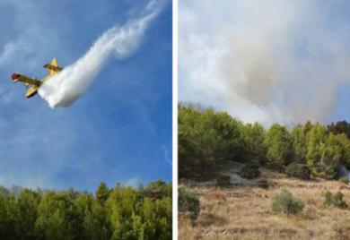 Požar zahvatio osam hektara polja maslina i borove šume