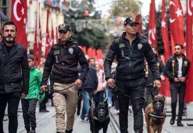 Uhapšen stručnjak za bombe Islamske države