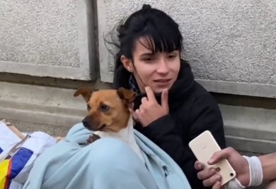 Mlada ljepotica sa psom prosi u Knez Mihajlovoj