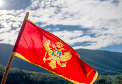 Predsjednički izbori u Crnoj Gori 19. marta