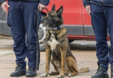 Pomogao spasiocima u Turskoj: Zigi zaslužno ide u penziju