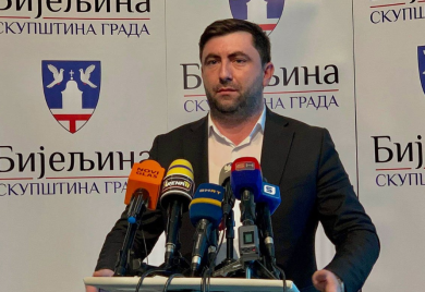Ljubiša Petrović kupuje klavir, cijena do 500.000 KM