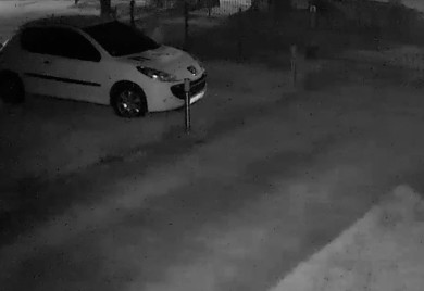 Medvjed na kapiji porodične kuće kod Bihaća, građani u strahu (VIDEO)