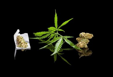 Akcija “Balkon”: Zaplijenjeni marihuana i kokain, uhapšeno dvoje