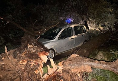 Nevrijeme u Rovinju i Poreču čupalo stabla, voda ušla u kuće