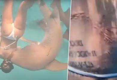 Stravičan napad: Ajkula ugrizla ženu za leđa VIDEO