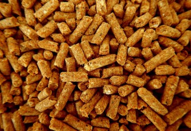 Produžena zabrana izvoza oblovine i peleta