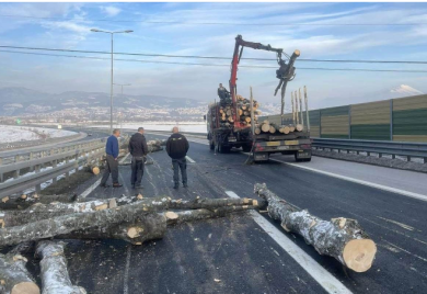 Balvani pali sa kamiona na auto-putu (VIDEO)
