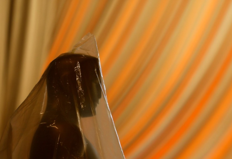 Sutra uveče dodjela Oskara, hrvatski film u konkurenciji