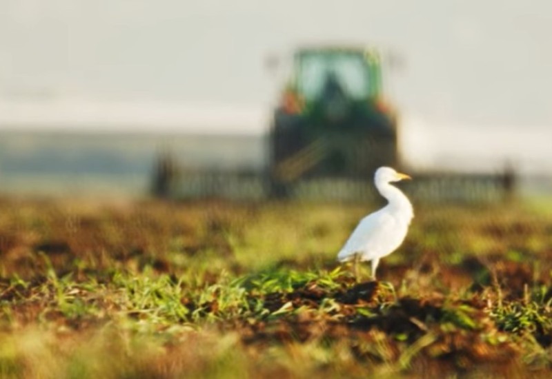 Svjetska turistička organizacija napravila listu najboljih sela za turiste: Jedno je kod Banjaluke (VIDEO)