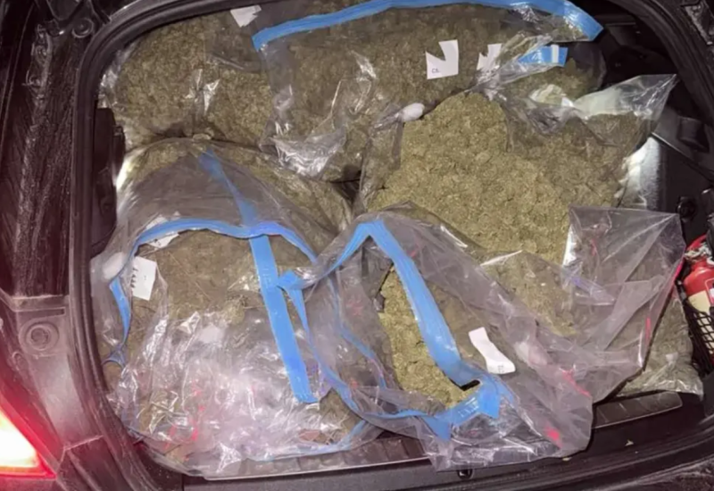 U akciji "Brazil" pronađeno oko 50 kilograma skanka