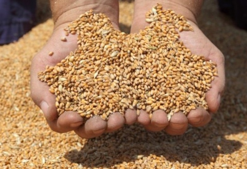 Svjetske cijene hrane u padu peti put za redom