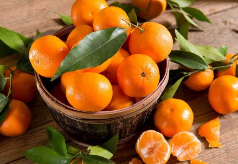Mandarine kao prirodni izvor vitamina: Kolika količina je preporučena dnevno