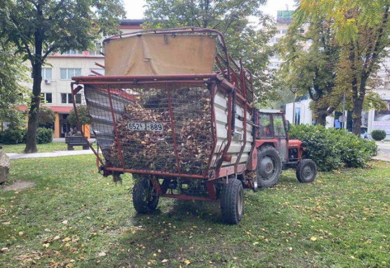 BANJA LUKA: Počelo sakupljanje lišća sa javnih površina