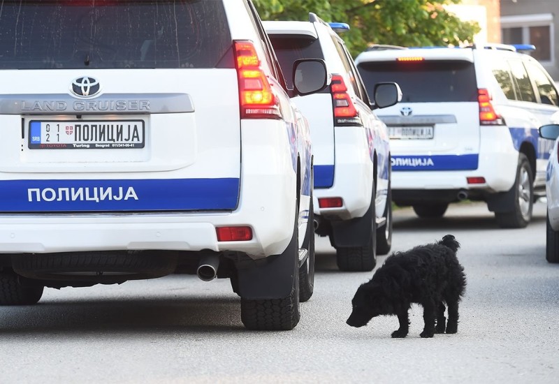 Uhapšena baba dječaka osumnjičenog za ubistvo brata kod Mladenovca