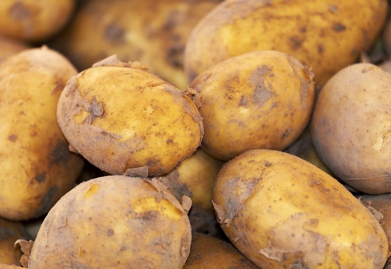 Ukradeno 120 kg krompira