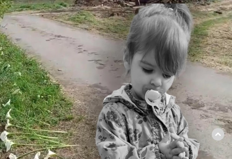 Kroz žbunje, rastinje i đubre: Nevjerovatno kojim je putem hodala Danka Ilić do mjesta gdje su je ubice udarile autom