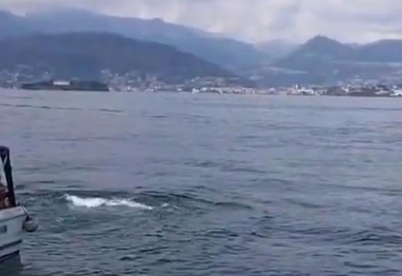Agent "Mosada" koji se udavio u jezeru Mađore istraživao iransko oružje?