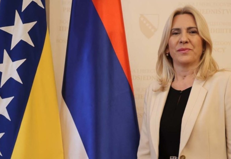 Cvijanović: Šmit ni bilo ko drugi nema pravo da mijenja entitetske ustave
