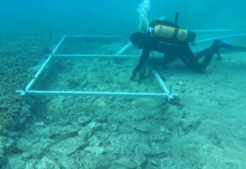 Na Korčuli pronađen podvodni ostatak puta starog gotovo 7.000 godina