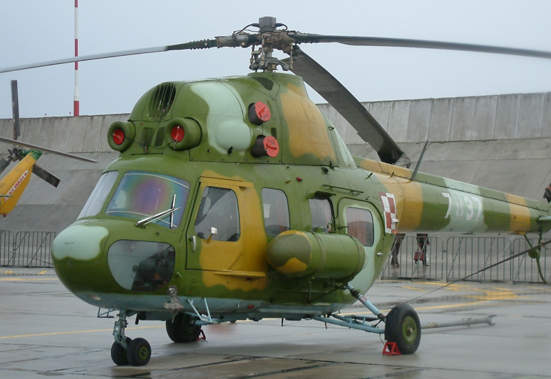 Helikopter "Mi-2" srušio se sa pet osoba, jedna preminula