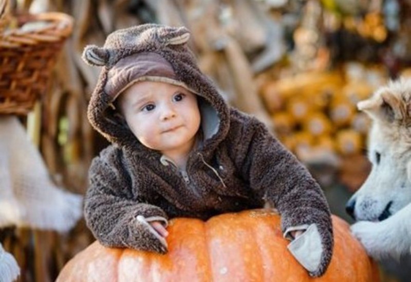 Završen konkurs "Banjaluka u jesenjim bojama"