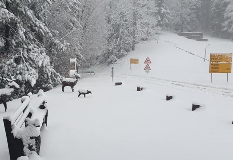 Manjača i Kozara osvanule pod snijegom (FOTO)