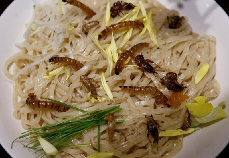 Od danas u EU dozvoljeno da tjestenina sadrži insekte i bube
