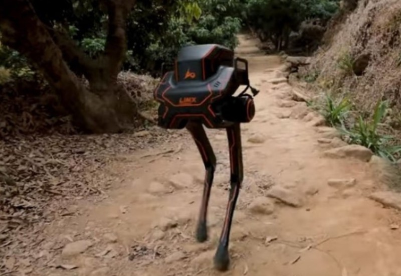 Kinezi pustili robota u šumu: Preživio batine i ostao na nogama (VIDEO)