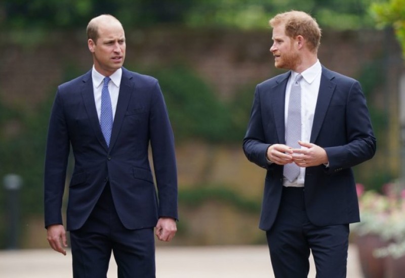 Šok tvrdnje princa Harija - Rođen sam da Vilijamu doniram organe