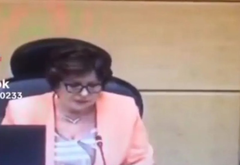 "Umislila da su konfekcijski brojevi L, XL, XXL": Poslanik čitala rimske brojeve amandmana kao etikete u robnoj kući (VIDEO)