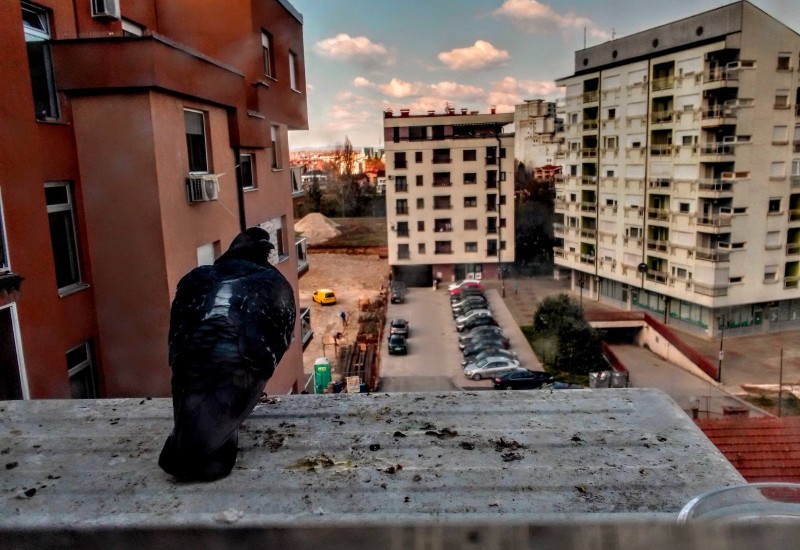 U protekla 24 časa zabilježeno 11 saobraćajnih nezgoda