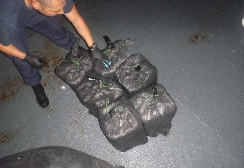 Albanski klanovi kontrolišu britansko tržište kokaina