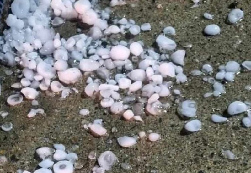 Grad uništio usjeve u selima na području Gradiške i Laktaša
