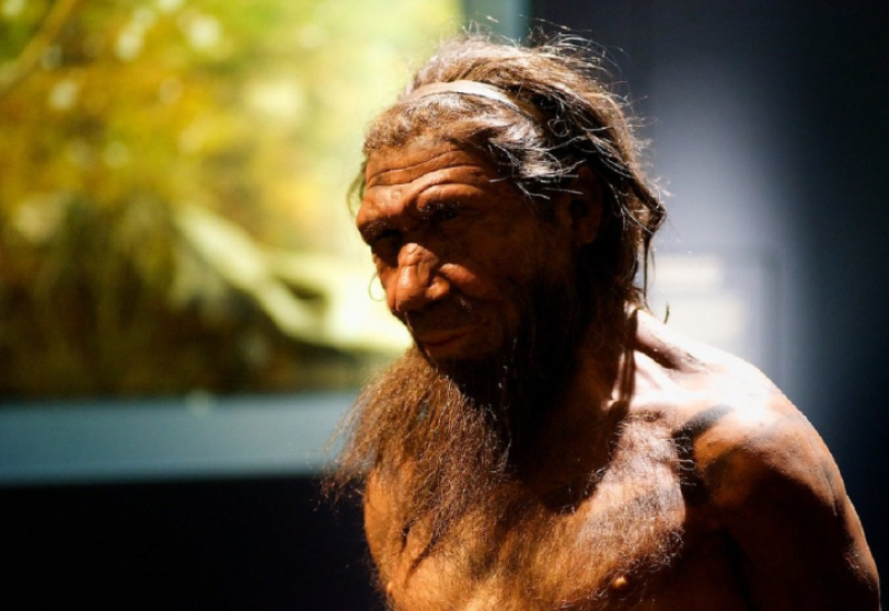 Šta je istrebilo neandertalce - nasilje ili seks