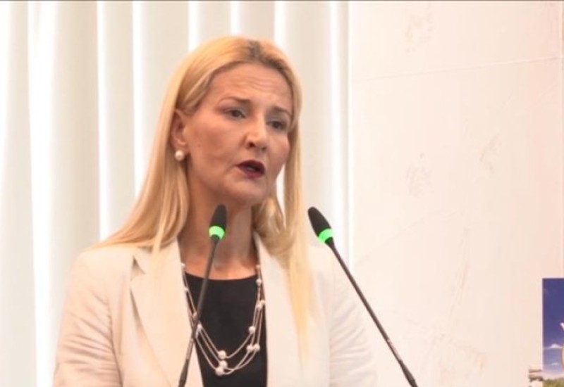 Miščević: Srbija bi mogla da ispuni kriterijume za članstvo u EU do 2025. godine