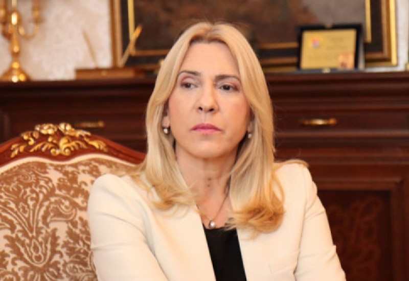 Cvijanović: MIP uzurpira rad zajedničkih institucija i izlazi iz okvira ovlašćenja