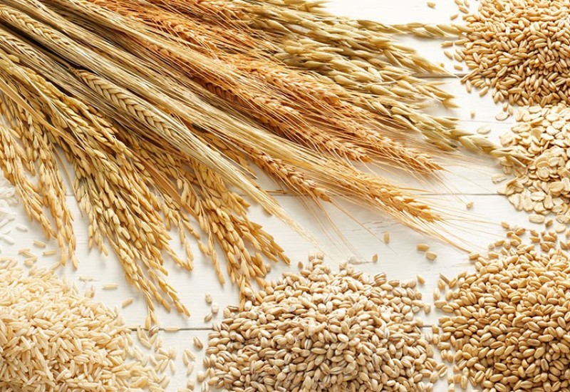 Veće cijene žitarica ako se ne produži Sporazum o izvozu iz Ukrajine