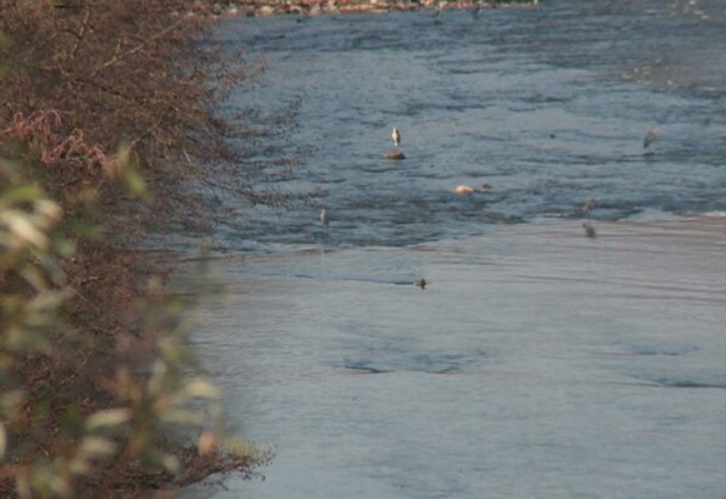 Iz Spreče izvučeno beživotno tijelo muškarca, policija utvrđuje identitet