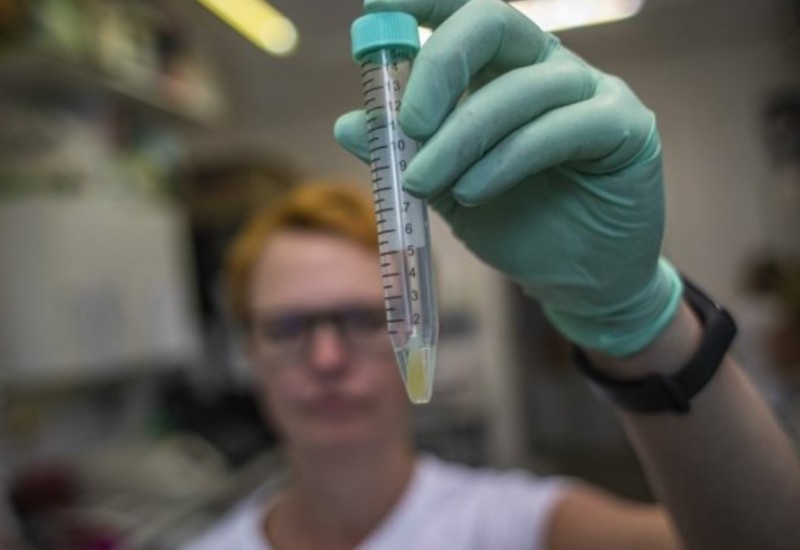 Lijek za Alchajmer prošao početnu fazu testiranja