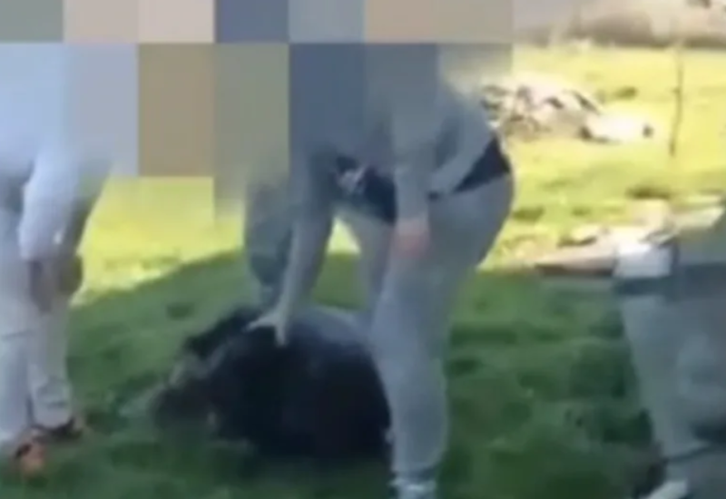 Članovi udruženja "Panter" pretukli Fahrudina koji je sjekirom navodno usmrtio psa?
