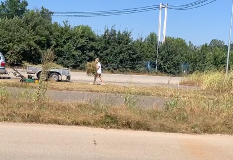 Došli na godišnji odmor u BiH pa kosili travu oko graničnog prelaza (VIDEO)