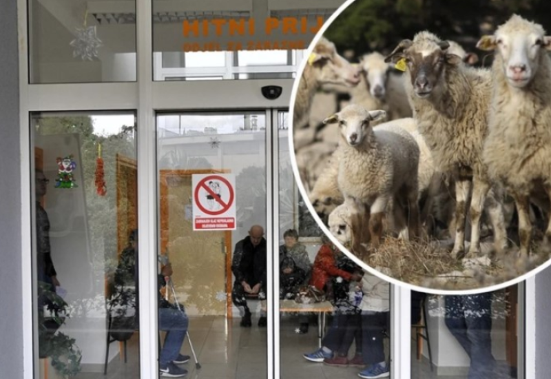 Šta je Q groznica koja se pojavila u BiH: Evo koji su glavni simptomi