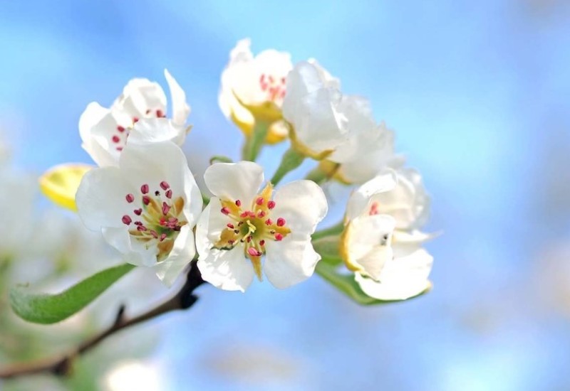 Velika prognoza za proljeće: Upozorenje za Balkan