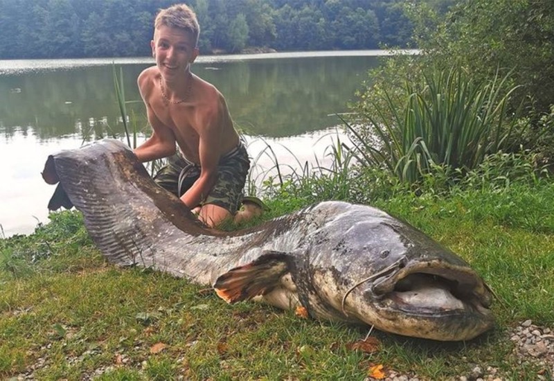 Dječak (13) upecao grdosiju od 2,5 metara i 90 kilograma