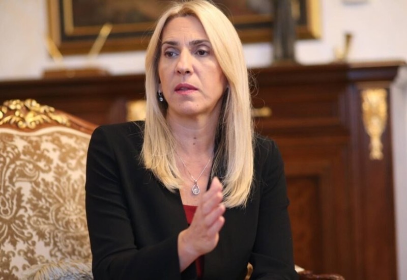 Cvijanović: O Stanivukovićevom neznanju mogli bi se pisati romani